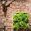 Artificial Faux Plant Succulent Wall Art