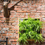 Artificial Faux Plant Succulent Wall Art