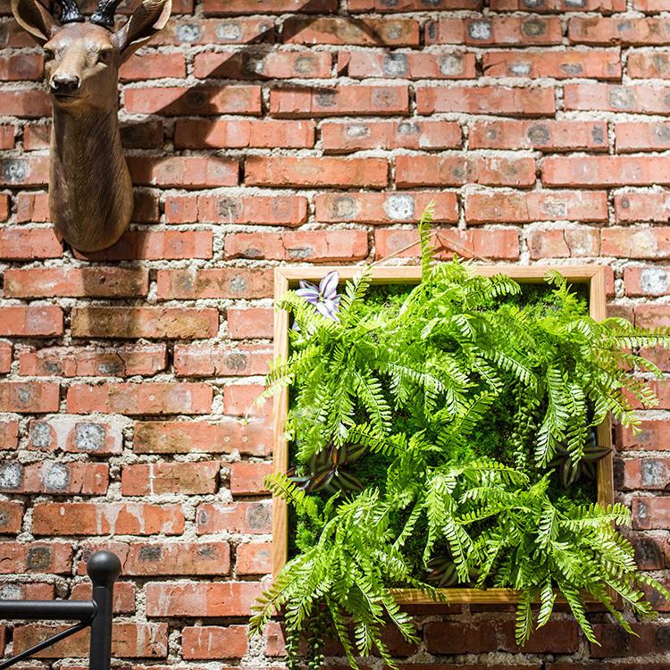Artificial Faux Plant Succulent Wall Art