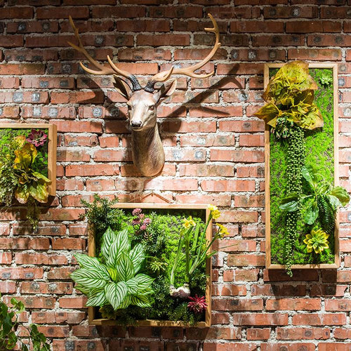 Artificial Faux Plant Succulent Wall Art