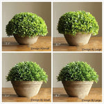 Artificial Potted Boxwood Faux Topiary