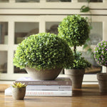 Artificial Potted Boxwood Faux Topiary