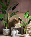 Artificial Silk Travelers Palm Tree In Pot