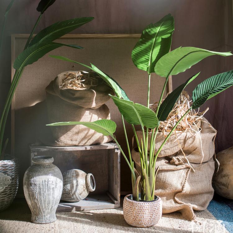 Artificial Silk Travelers Palm Tree In Pot