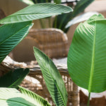 Artificial Silk Travelers Palm Tree In Pot