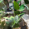 Artificial Silk Travelers Palm Tree In Pot