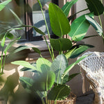 Artificial Silk Travelers Palm Tree In Pot