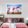 Wild Cosmos Flowers Wall Art