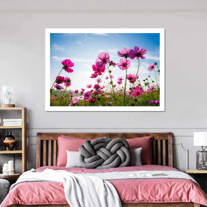 Wild Cosmos Flowers Wall Art