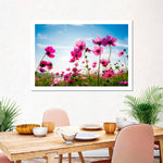 Wild Cosmos Flowers Wall Art