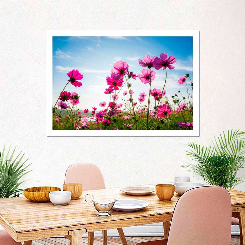 Wild Cosmos Flowers Wall Art
