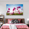 Wild Cosmos Flowers Wall Art