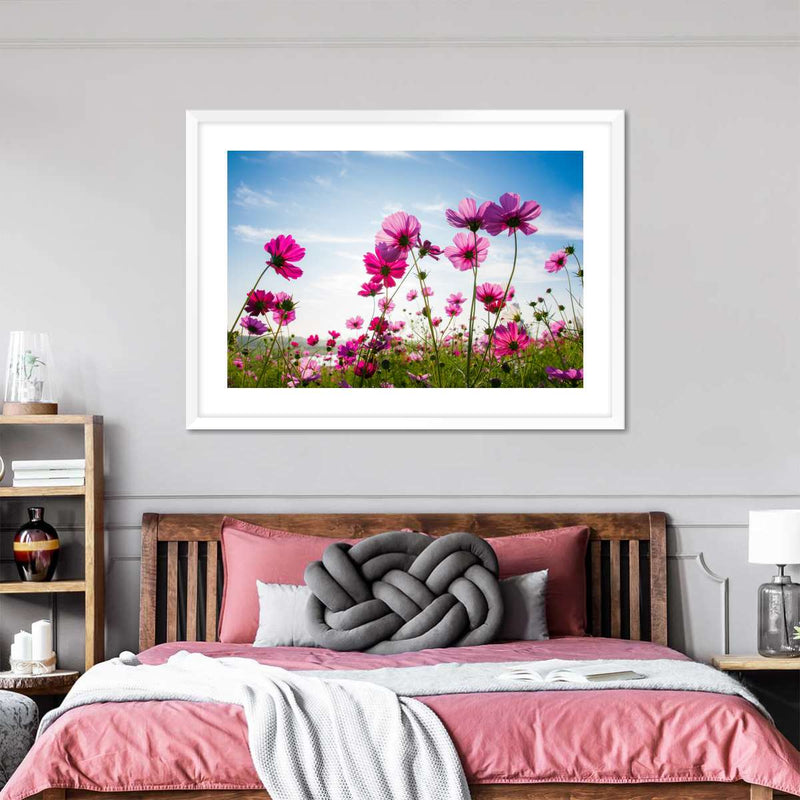 Wild Cosmos Flowers Wall Art