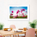 Wild Cosmos Flowers Wall Art