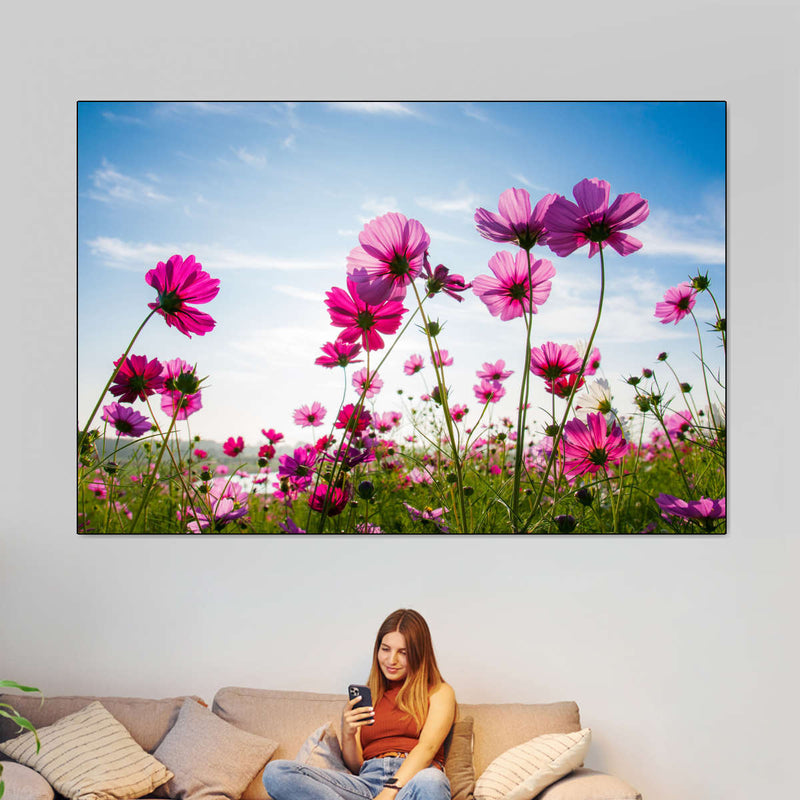 Wild Cosmos Flowers Wall Art
