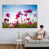 Wild Cosmos Flowers Wall Art