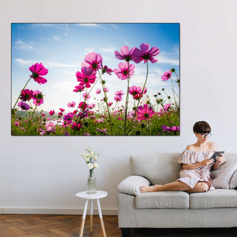 Wild Cosmos Flowers Wall Art
