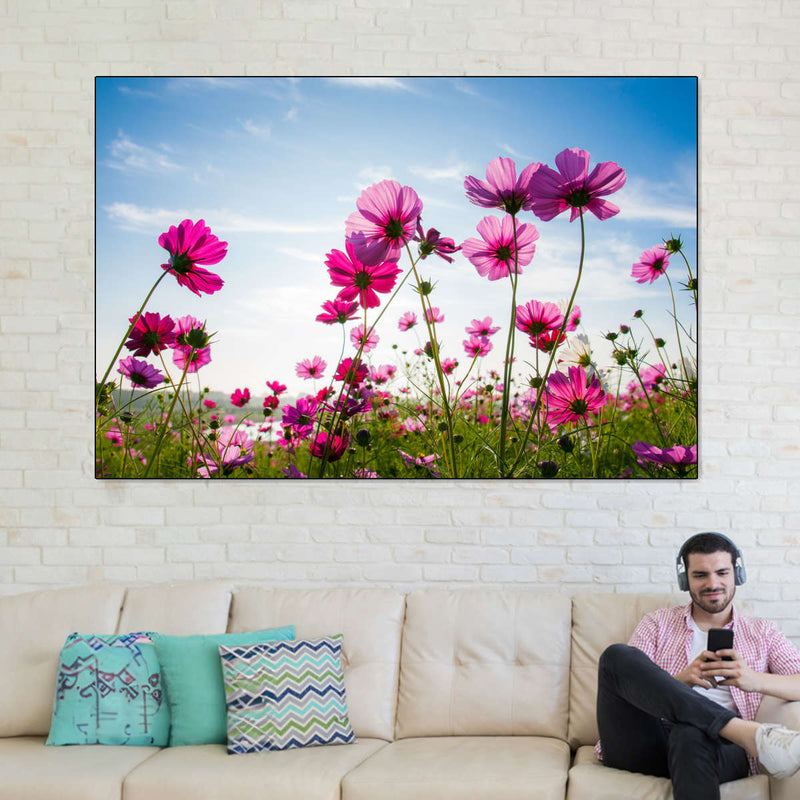 Wild Cosmos Flowers Wall Art