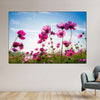Wild Cosmos Flowers Wall Art