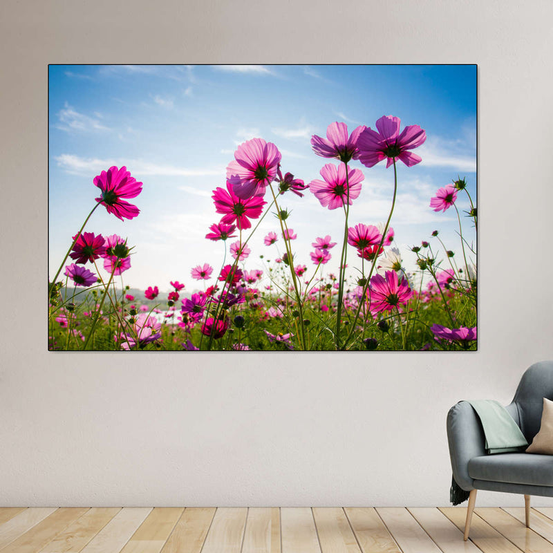 Wild Cosmos Flowers Wall Art