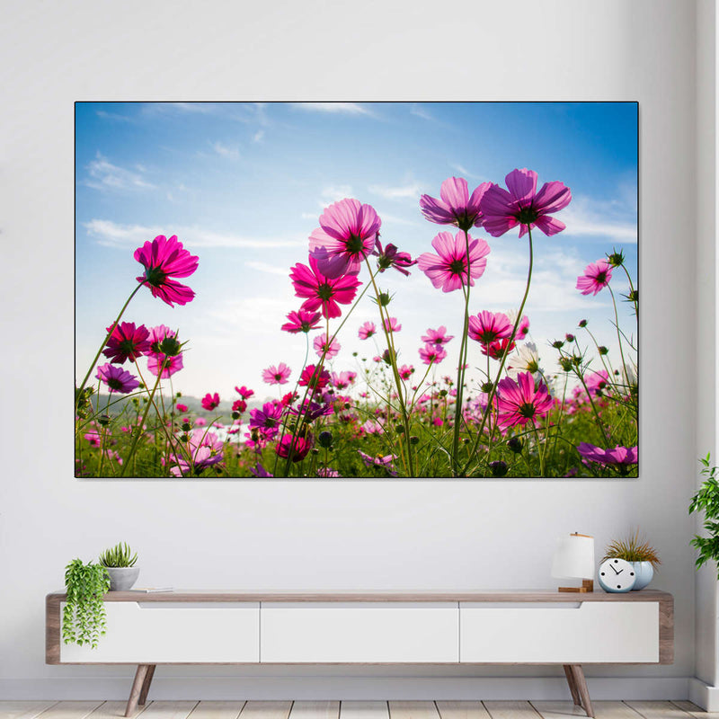 Wild Cosmos Flowers Wall Art
