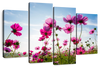 Wild Cosmos Flowers Wall Art