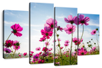 Wild Cosmos Flowers Wall Art