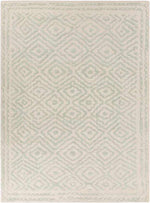 Ashland Modern Green/Beige Area Rug