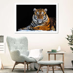 Tiger Snapshot Wall Art