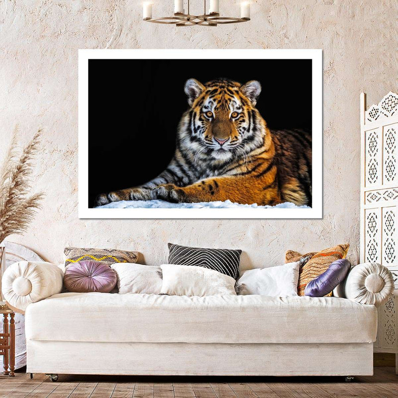 Tiger Snapshot Wall Art