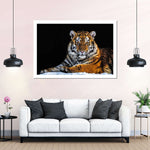 Tiger Snapshot Wall Art