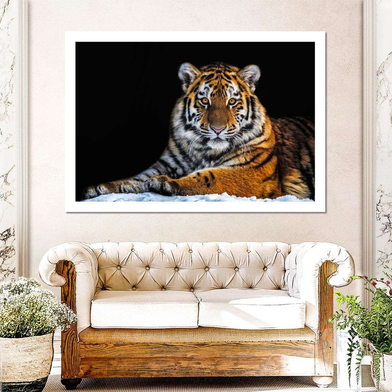 Tiger Snapshot Wall Art