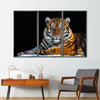 Tiger Snapshot Wall Art