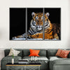 Tiger Snapshot Wall Art