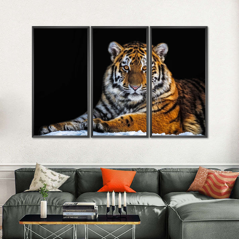Tiger Snapshot Wall Art