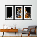 Tiger Snapshot Wall Art