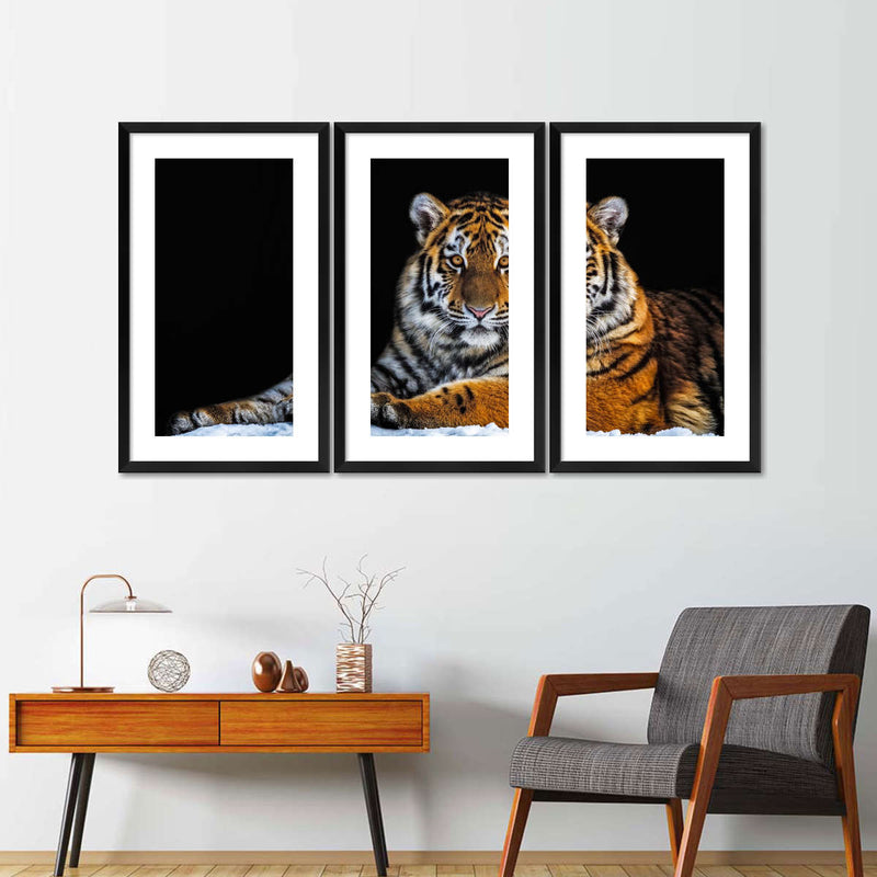 Tiger Snapshot Wall Art