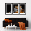 Tiger Snapshot Wall Art