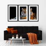 Tiger Snapshot Wall Art
