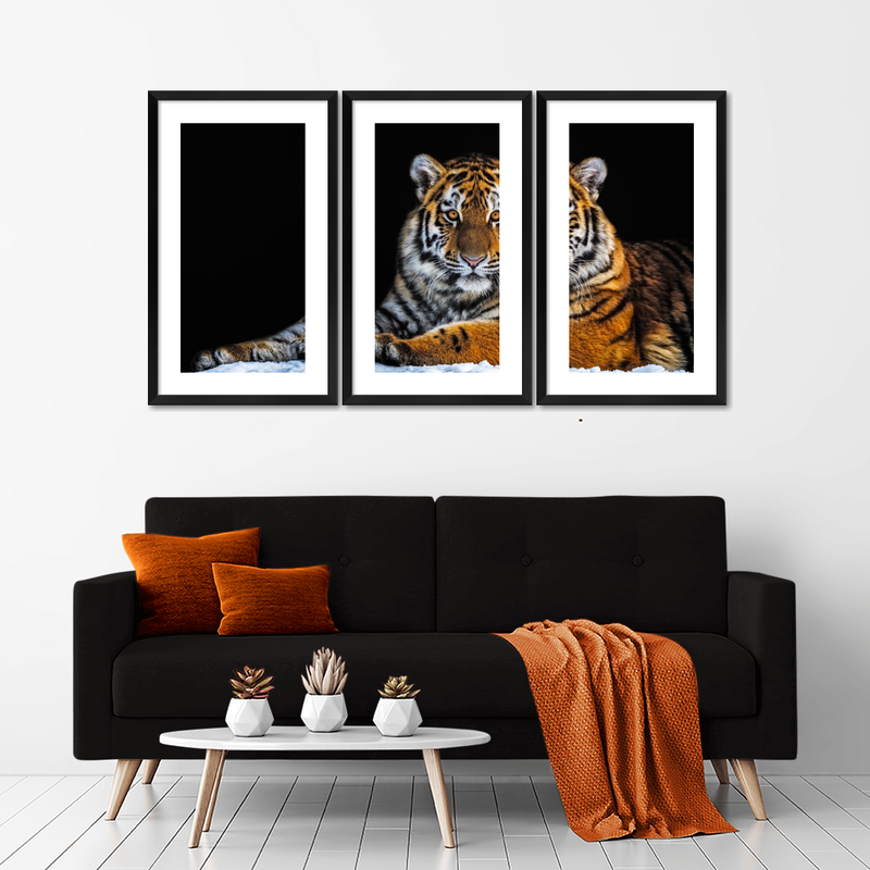 Tiger Snapshot Wall Art