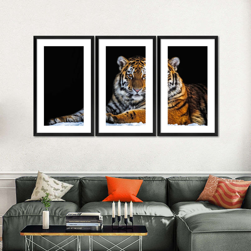 Tiger Snapshot Wall Art