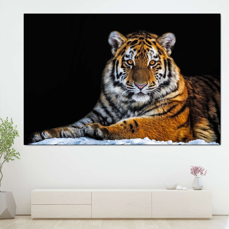 Tiger Snapshot Wall Art