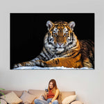Tiger Snapshot Wall Art