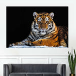 Tiger Snapshot Wall Art