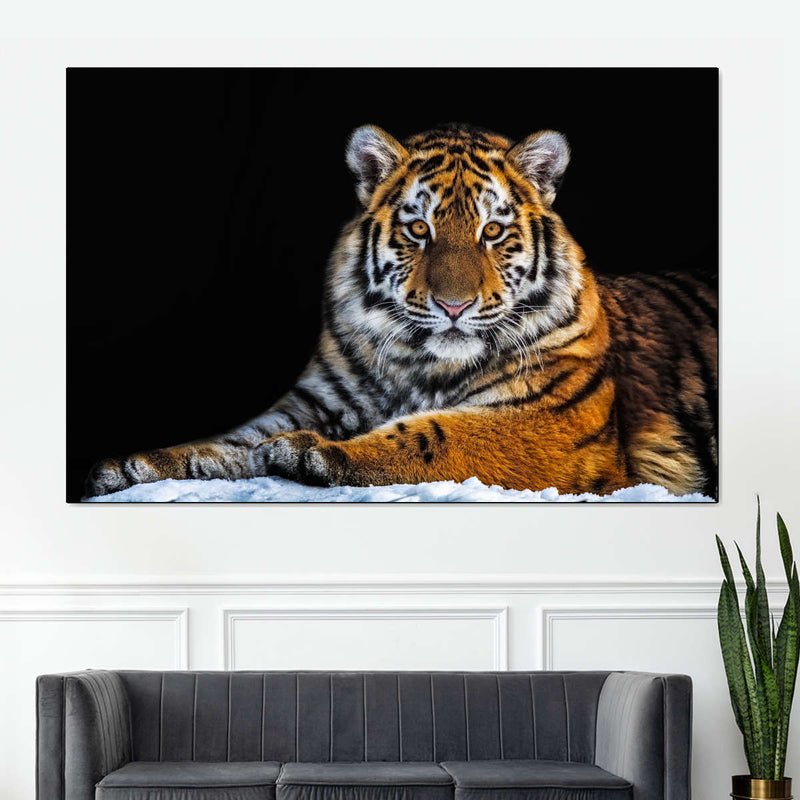 Tiger Snapshot Wall Art