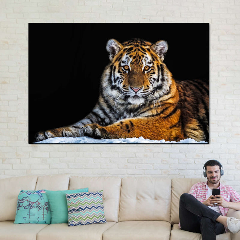 Tiger Snapshot Wall Art