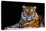 Tiger Snapshot Wall Art