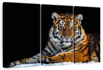 Tiger Snapshot Wall Art