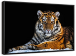 Tiger Snapshot Wall Art