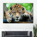 Lazy Leopard Wall Art